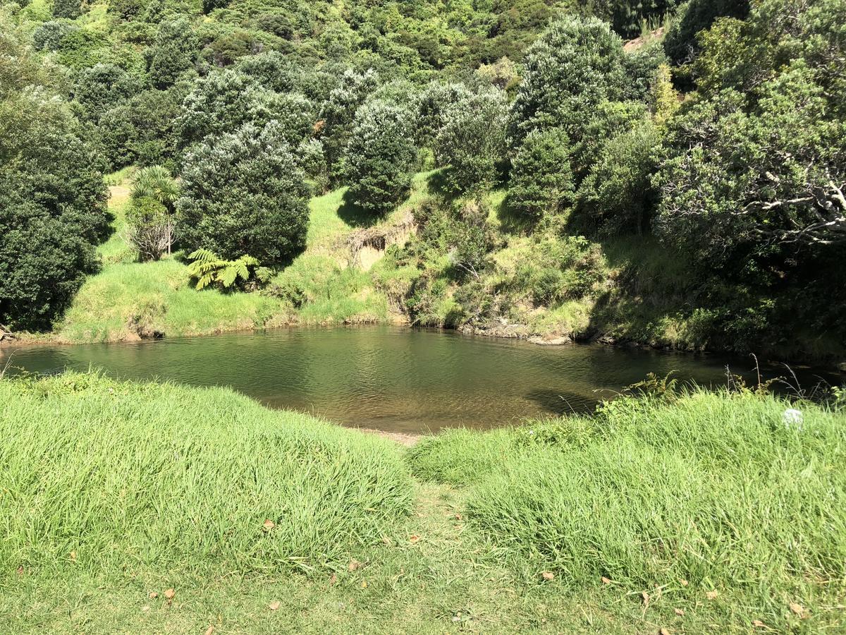 Te Mata Bay Seaviews Bed & Breakfast Tapu Bagian luar foto