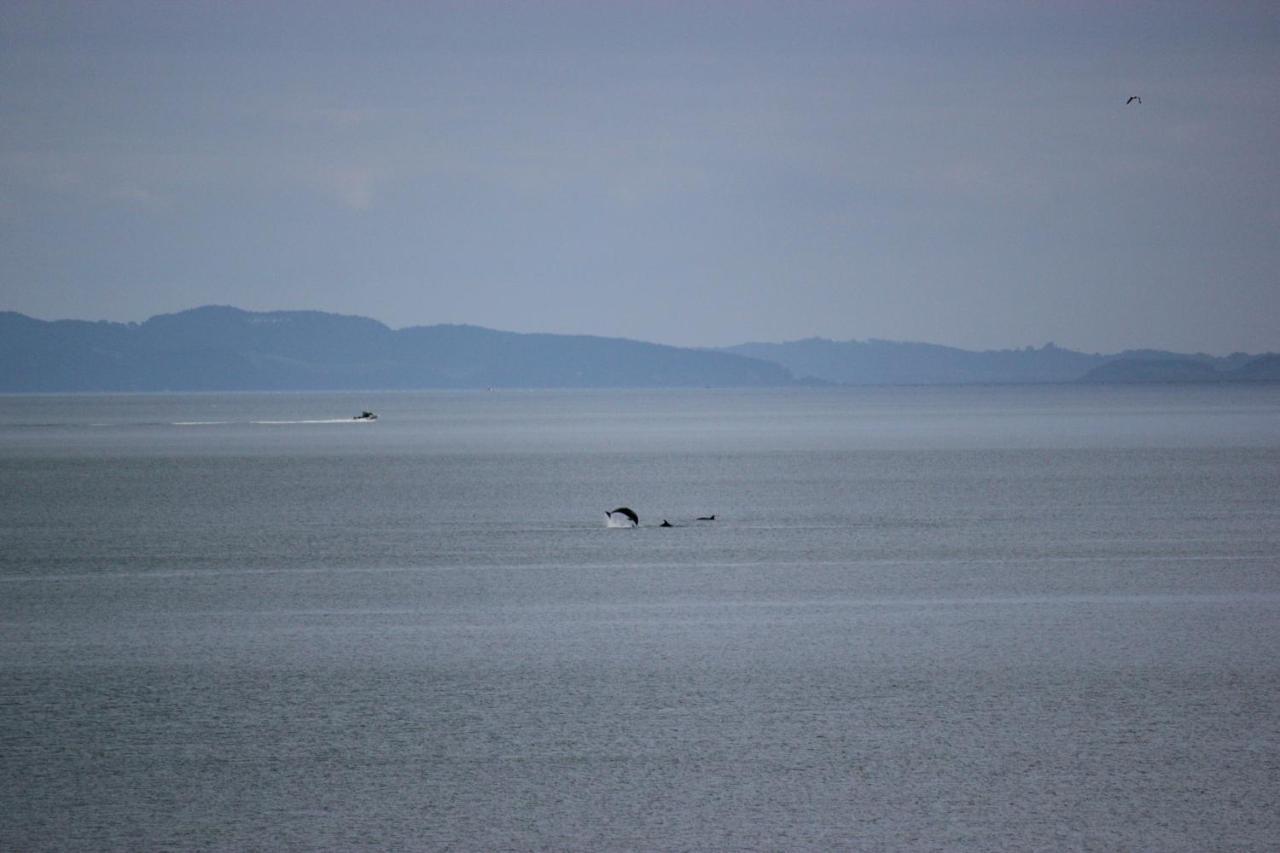 Te Mata Bay Seaviews Bed & Breakfast Tapu Bagian luar foto